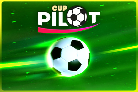 Pilot Cup